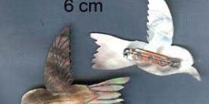 Mother of Pearl Seashell Fashion Buttons Beads Pendant