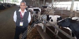 Business Consultancy Services