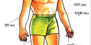 Wc HB 01 Learning Puzzle