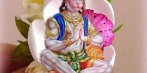 Life Insurance Adviser