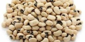 Cow Pea
