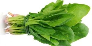 Palak Keerai Seed
