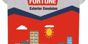 Exterior Emulsion Paints