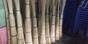 Indonesia Nipah Broom