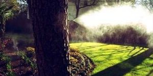 Mosquito and Pest Control Systems