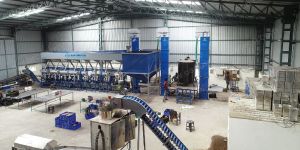 Automatic Cashew Nut Processing Machine