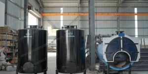 Cashew IBR Boiler