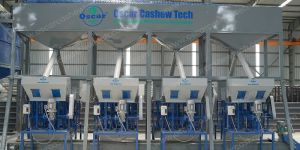 Cashew Nut Process Plants Turnkey Projects