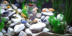 Artificial Aquarium Stones