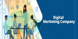 Web Development SERVICES in India
