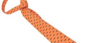 Designer Neck Ties