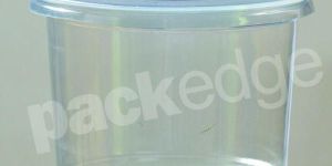 Disposable Container