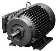 Torque Motors