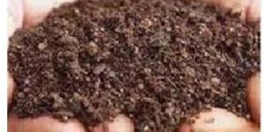 Azospirillum Bio Fertilizer