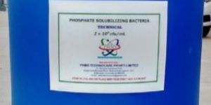 Phosphate Solubilizing Bacteria