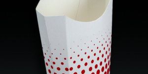 French Fry Boxes