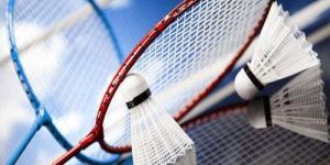 Badminton Racket