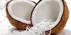 Frozen Shredded Coconut