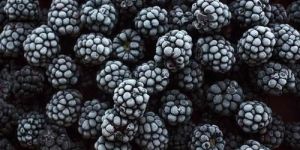 Natural Frozen Blackberry