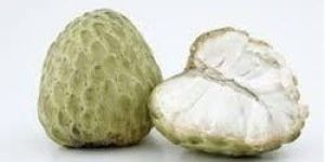 Frozen Custard Apple
