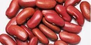 Kidney Beans