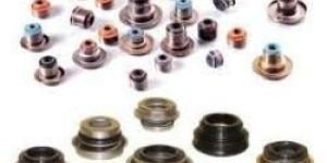 Automotive Valve Seal