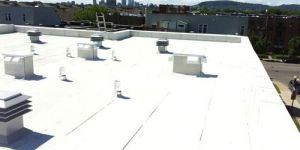 Elastomeric Membrane