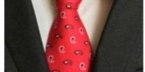 Mens Official Ties