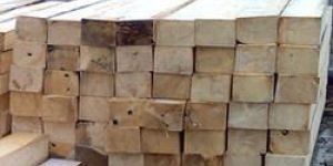 Sycamore Wood