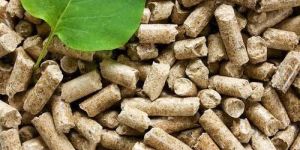 Biomass Pellets