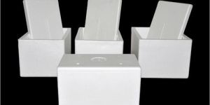 EPS Fish Packaging Thermocol Box