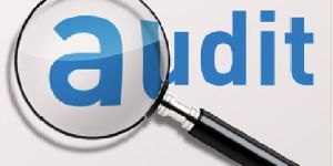 Audit Assurance Services