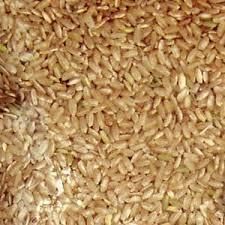 Rice Grain