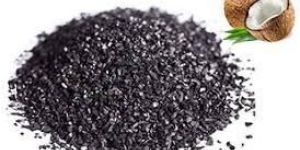 Coconut Shell Steam Activated Carbon