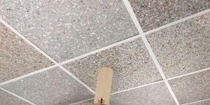 Recycle Plastic Ceiling Panel