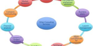 Financial & Debt Restructuring Consultancy