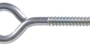 Eye Lag Screws