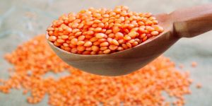 Red Lentils