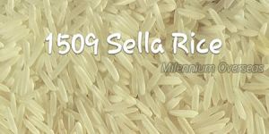1509 Sella Basmati Rice