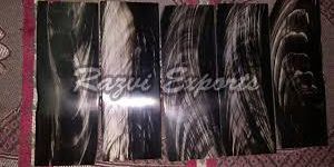 Buffalo Horn Plate Blank