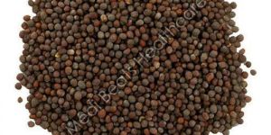 Black Mustard Seeds