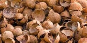 Crushed Coconut Shell