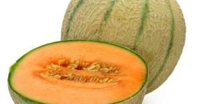 Fresh Musk Melon Honey Dew