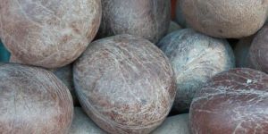 Premium Black Ball Copra Coconut