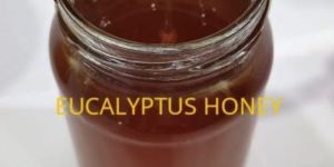 Eucalyptus Honey