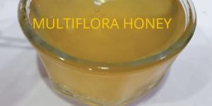 Multiflora Honey