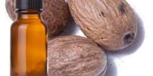 Nutmeg Essential Oil