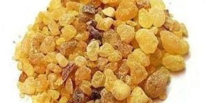 Boswellia Serrata Extract