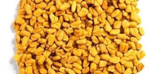 Yellow Fenugreek Seeds