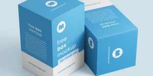 Packaging Designing Services